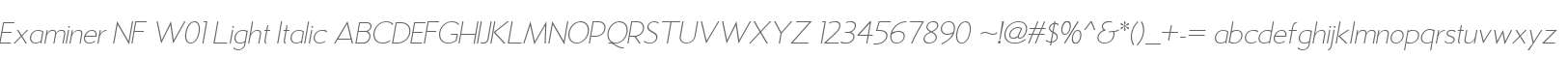 Examiner NF W01 Light Italic