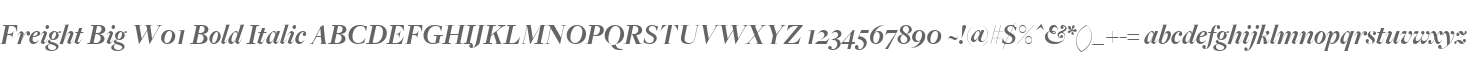 Freight Big W01 Bold Italic