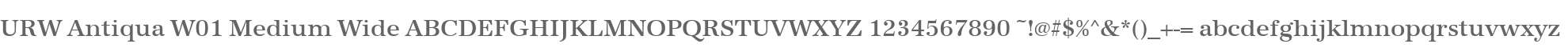 URW Antiqua W01 Medium Wide