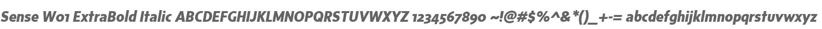 Sense W01 ExtraBold Italic