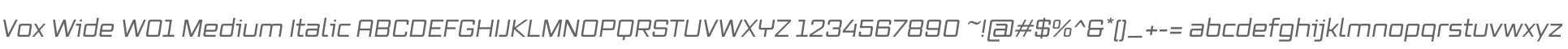 Vox Wide W01 Medium Italic