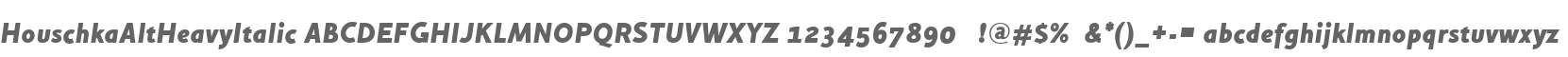 HouschkaAltHeavyItalic