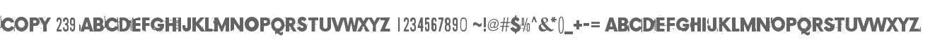 Copy 239