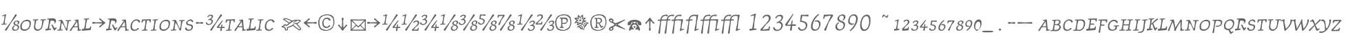 JournalFractions-Italic