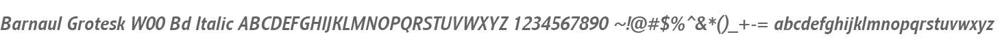 Barnaul Grotesk W00 Bd Italic