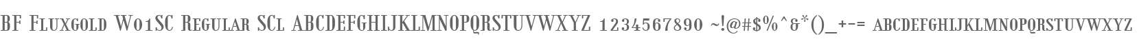 BF Fluxgold W01SC Regular SCl
