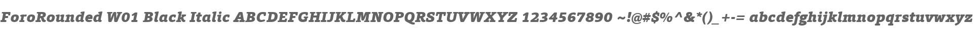 ForoRounded W01 Black Italic