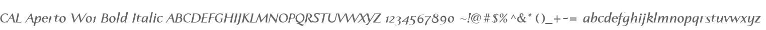 CAL Aperto W01 Bold Italic