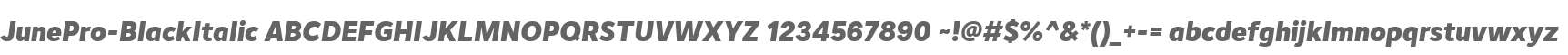 JunePro-BlackItalic