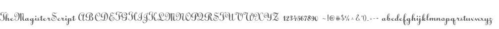 The Magister Script