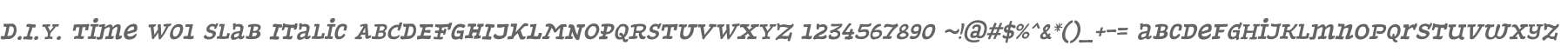 D.I.Y. Time W01 Slab Italic