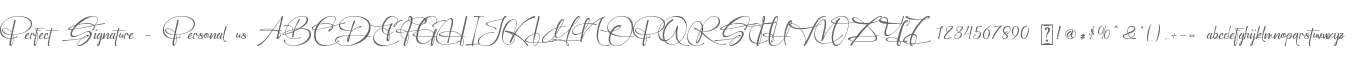 Perfect Signature - Personal us
