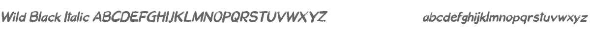Wild Black Italic