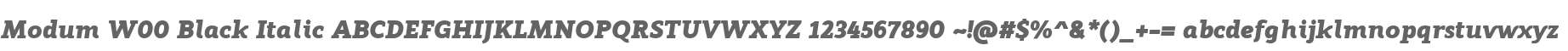 Modum W00 Black Italic
