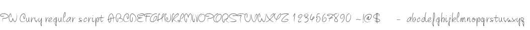 PW Curvy regular script