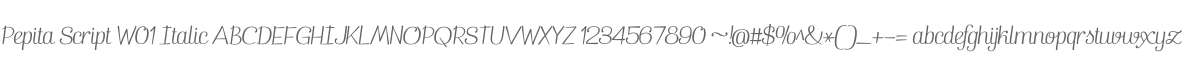 Pepita Script W01 Italic