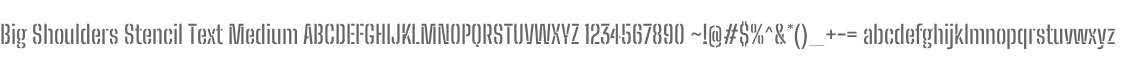 Big Shoulders Stencil Text Medium