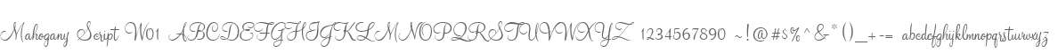 Mahogany Script W01