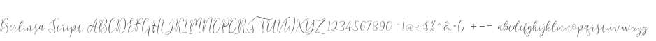 Berlinsa Script