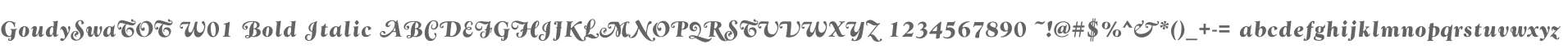 GoudySwaTOT W01 Bold Italic