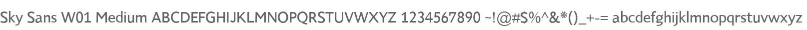 Sky Sans W01 Medium