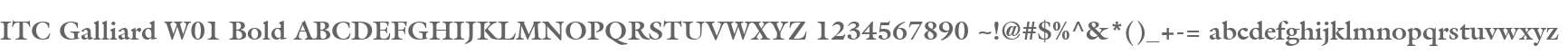 ITC Galliard W01 Bold