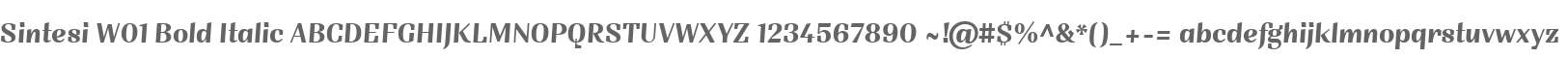 Sintesi W01 Bold Italic