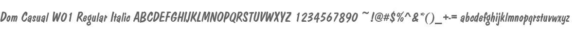 Dom Casual W01 Regular Italic
