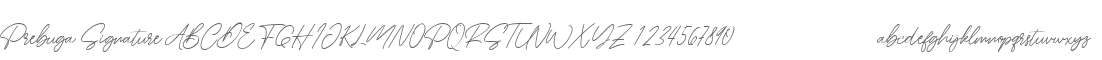 Prebuga Signature