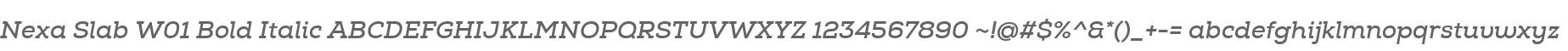 Nexa Slab W01 Bold Italic