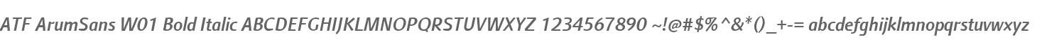 ATF ArumSans W01 Bold Italic