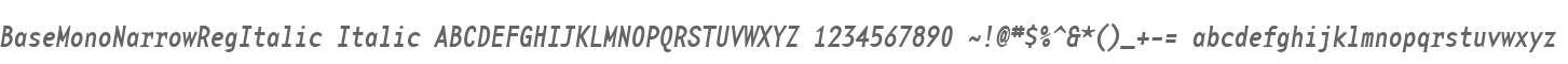 BaseMonoNarrowRegItalic Italic