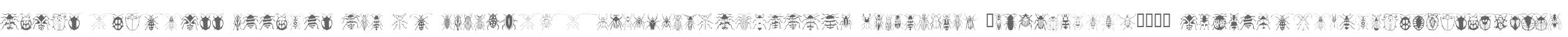 Stans Gorgiass Beetles W95 Rg