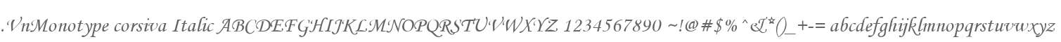 .VnMonotype corsiva Italic