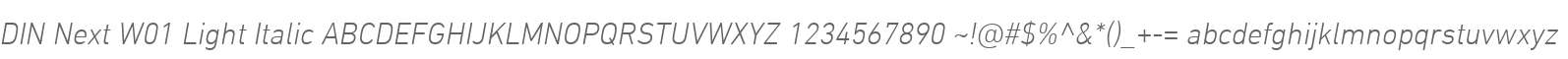 DIN Next W01 Light Italic