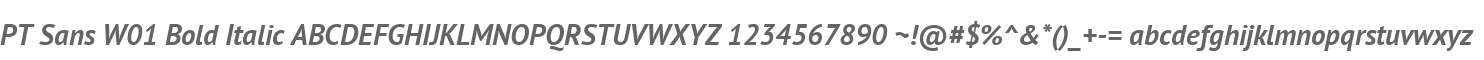 PT Sans W01 Bold Italic