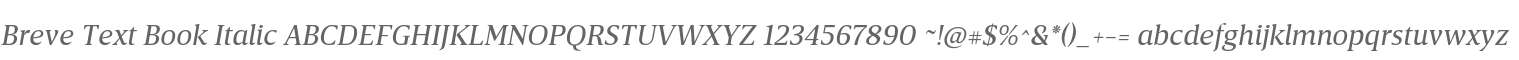 BreveText-BookItalic