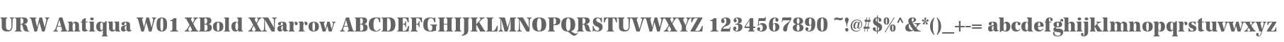 URW Antiqua W01 XBold XNarrow