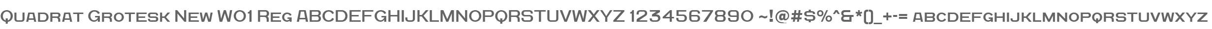Quadrat Grotesk New W01 Reg