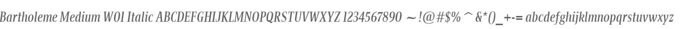 Bartholeme Medium W01 Italic