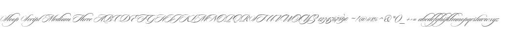 Sloop Script Medium Three