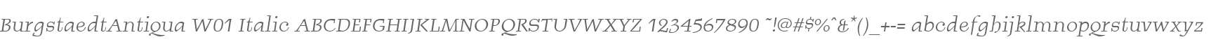 BurgstaedtAntiqua W01 Italic
