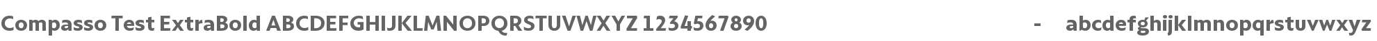 Compasso Test ExtraBold