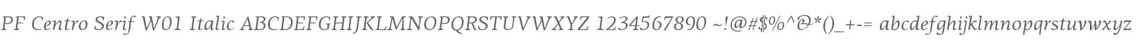 PF Centro Serif W01 Italic