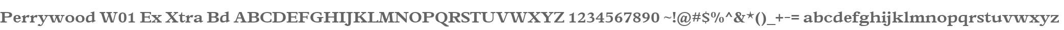 Perrywood W01 Ex Xtra Bd