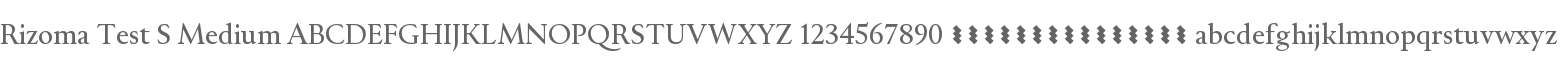 Rizoma Test S Medium