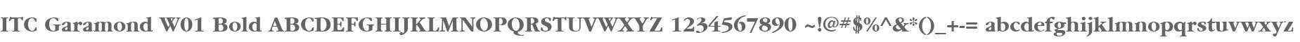 ITC Garamond W01 Bold