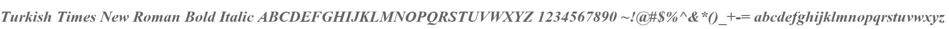 Turkish Times New Roman Bold Italic