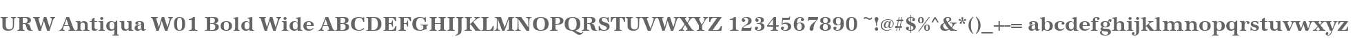 URW Antiqua W01 Bold Wide