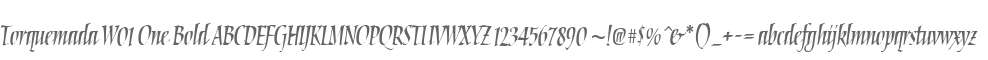Torquemada W01 One Bold